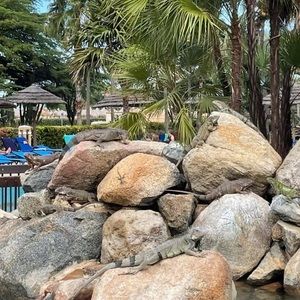 Meet your Posher, Cameron